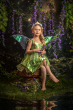 fairytale photography services angel wings