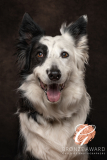 20260426-DSC06353-Edit