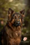 20260505-DSC08772-Edit