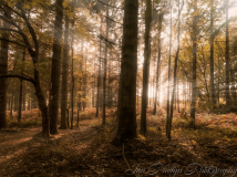 Magazine-Freelance-Photographer-Somerset-South-West-UK