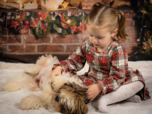 themed-photography-somerset-photographer-studio