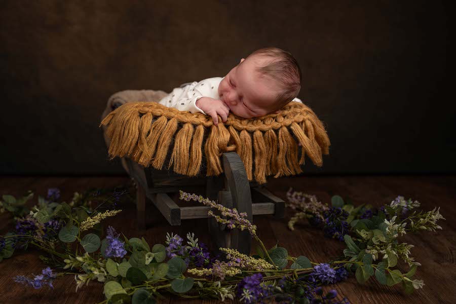 Newborn Maternity Gallery