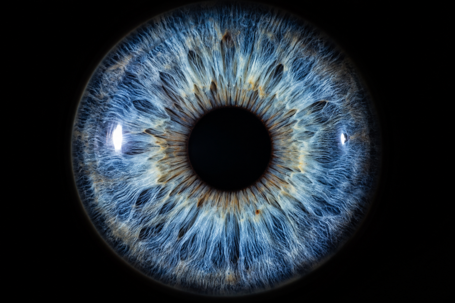 Iris Photography Weston-super-Mare | Eye Art